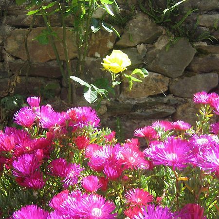 Liosderrig House B&B Glenbeigh Esterno foto