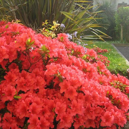 Liosderrig House B&B Glenbeigh Esterno foto