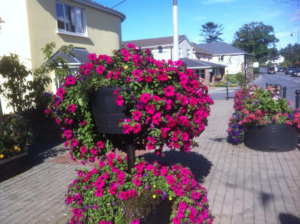 Liosderrig House B&B Glenbeigh Esterno foto